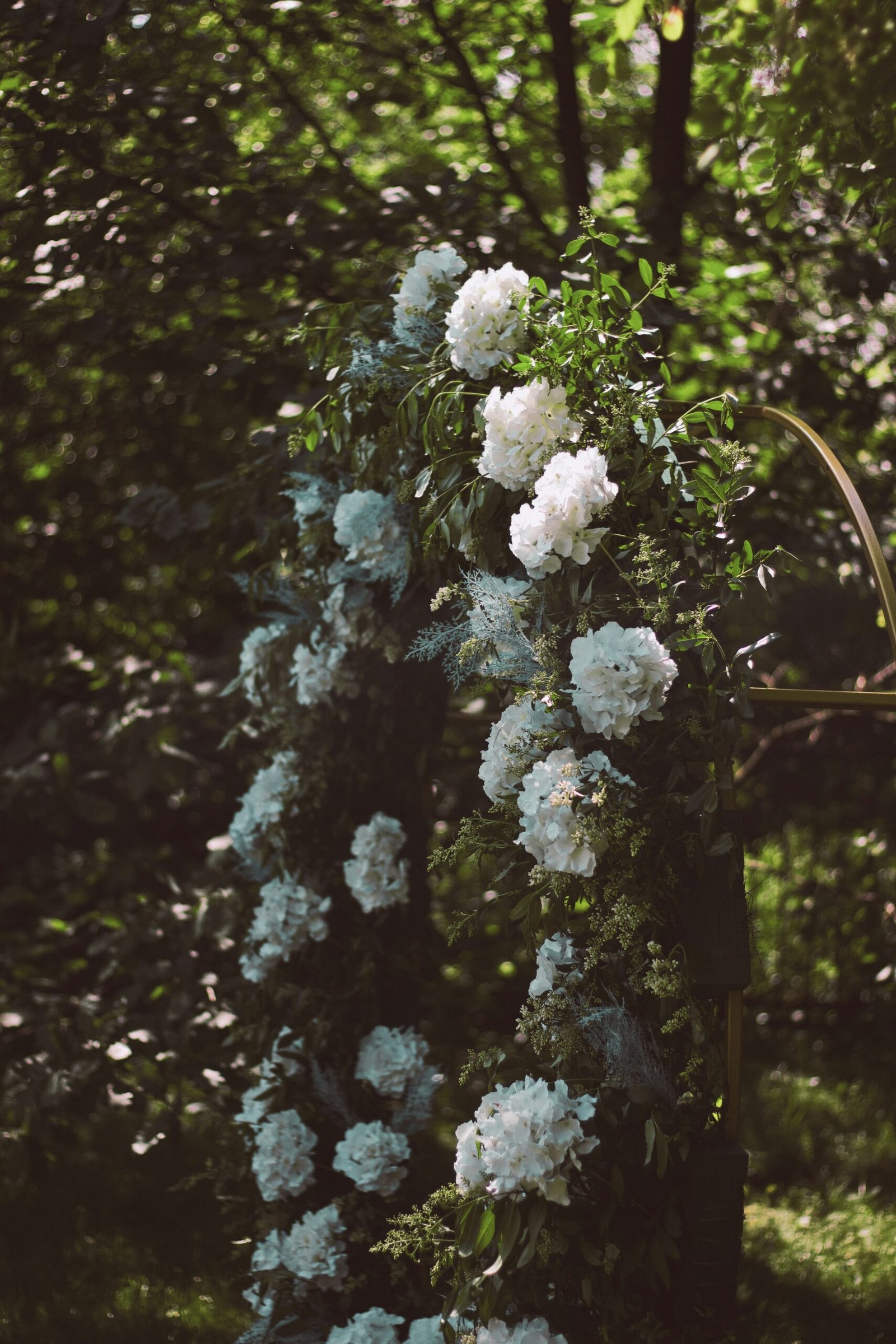 white flowers on green leaves